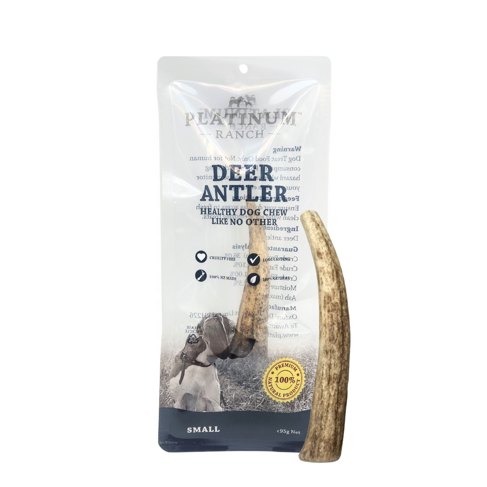 New Zealand Deer Antler